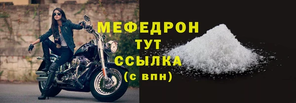 индика Богородск