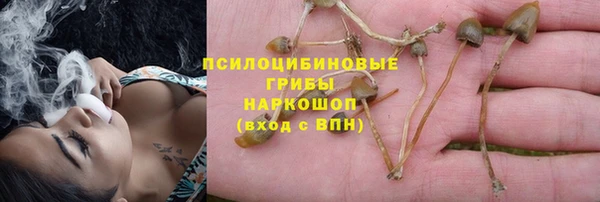 индика Богородск