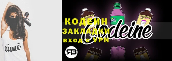 индика Богородск