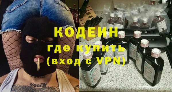 индика Богородск