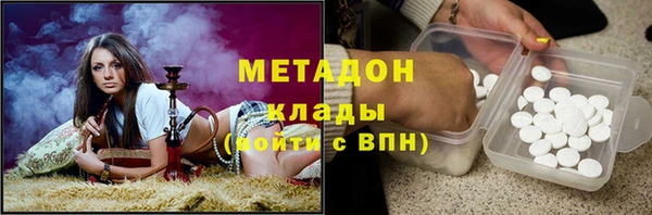 индика Богородск