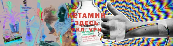 индика Богородск