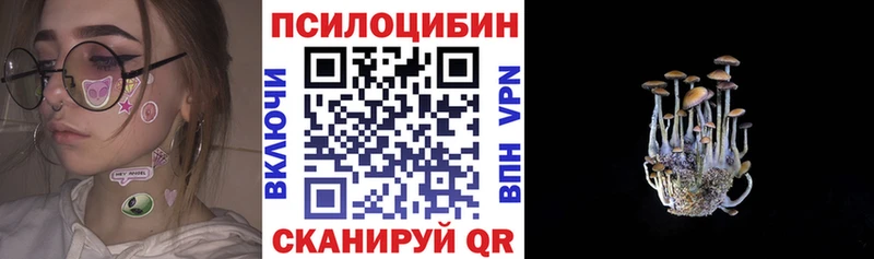 Галлюциногенные грибы Psilocybe  купить наркотик  Бор 